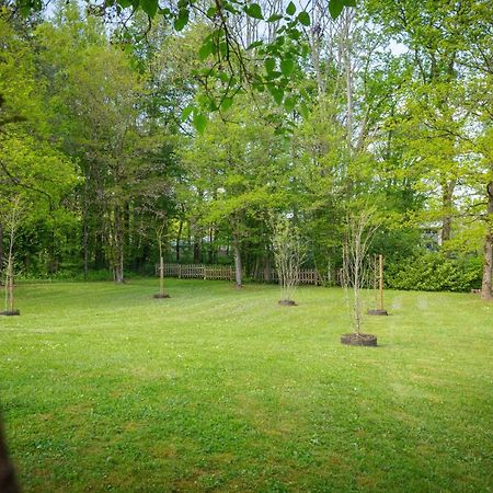 Villa Valy 4 Adultes Et 2 Enfants Durbuy Extérieur photo